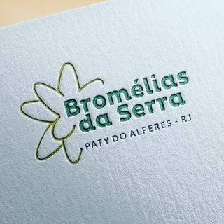 Bromélias da Serra